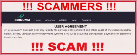 Coinumm Com swindlers are not liable for client losses
