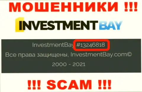 Номер регистрации, под которым зарегистрирована организация InvestmentBay: 13246818