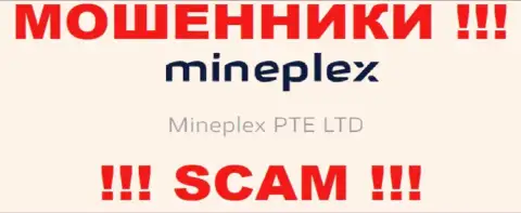 Руководителями MinePlex Io является компания - Mineplex PTE LTD