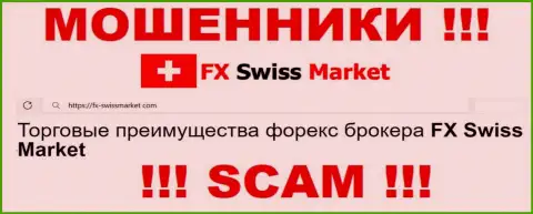 Область деятельности FXSwiss Market: FOREX - отличный заработок для интернет обманщиков