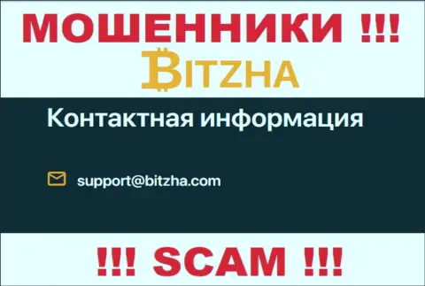 Электронная почта ворюг Bitzha24, информация с официального сайта