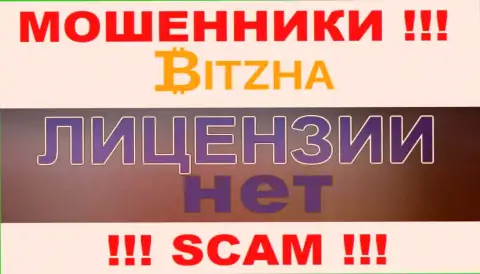 Ворам Bitzha не дали лицензию на осуществление их деятельности - прикарманивают денежные средства