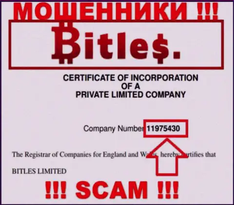Регистрационный номер internet-мошенников Bitles, с которыми очень рискованно сотрудничать - 11975430