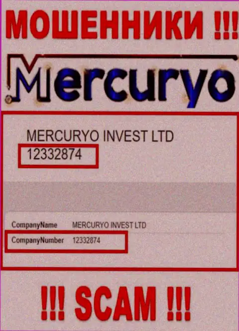 Номер регистрации противоправно действующей компании Меркурио Ко Ком: 12332874