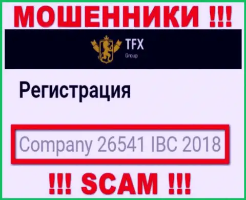 Номер регистрации, который принадлежит противоправно действующей компании ТФХ Групп: 26541 IBC 2018