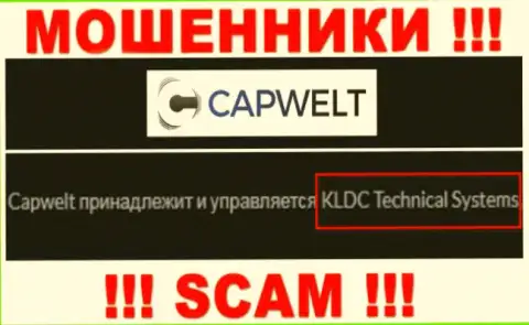 Юридическое лицо компании CapWelt Com - это КЛДЦ Техникал Системс, информация позаимствована с официального информационного портала