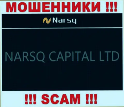 Сведения о юридическом лице internet обманщиков Narsq Com
