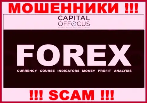 С организацией CapitalOfFocus Com совместно сотрудничать слишком рискованно, их направление деятельности FOREX - это замануха