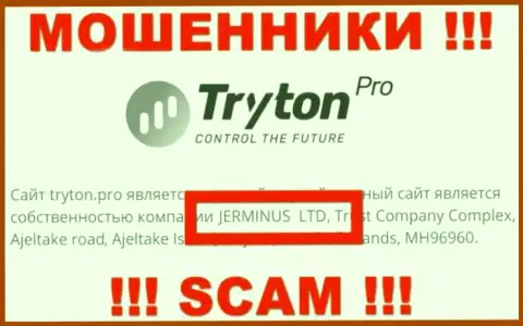 Информация о юридическом лице TrytonPro - это контора Jerminus LTD