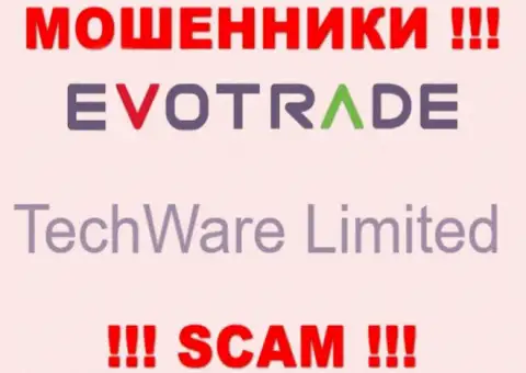 Юр лицом ЭвоТрейд Ком считается - TechWare Limited