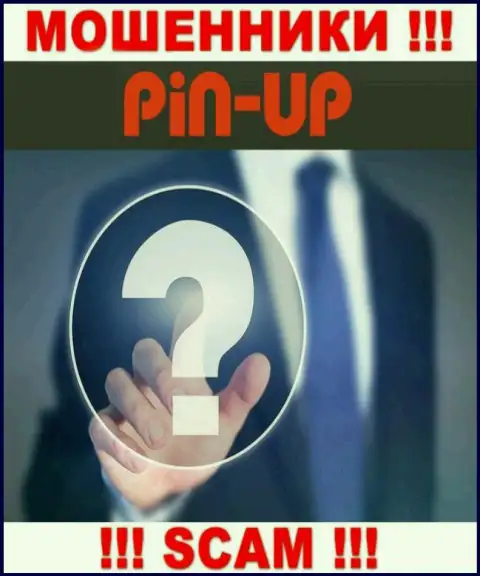Не работайте с internet-мошенниками Pin Up Casino - нет инфы об их непосредственном руководстве