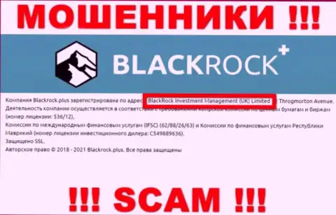 Владельцами Black Rock Plus оказалась компания - BlackRock Investment Management (UK) Ltd