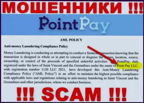 Компанией Поинт Пэй ЛЛК владеет Point Pay LLC - сведения с официального web-ресурса аферистов