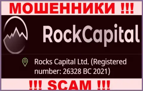 Регистрационный номер очередной незаконно действующей организации РокКапитал Ио - 26328 BC 2021