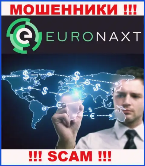 Не отдавайте финансовые средства в EuroNax, тип деятельности которых - Брокер
