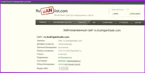 Портал Budrigan Ltd на территории РФ был заблокирован Генпрокуратурой
