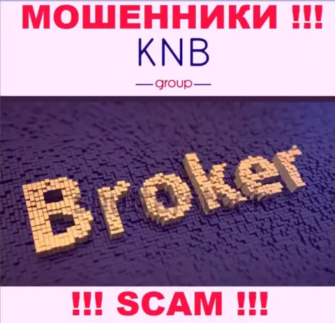 Тип деятельности преступно действующей конторы KNB Group - это Брокер
