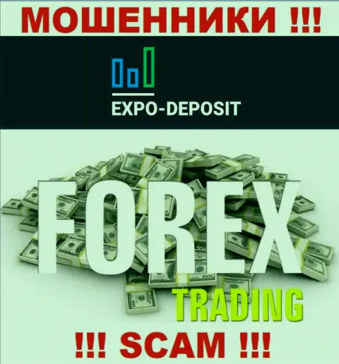 Форекс - это вид деятельности незаконно действующей конторы Expo Depo