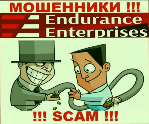 Доход с организацией Endurance Enterprises Вы не увидите - весьма рискованно вводить дополнительно денежные активы