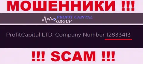 Номер регистрации Profit Capital Group, который показан кидалами у них на web-ресурсе: 12833413