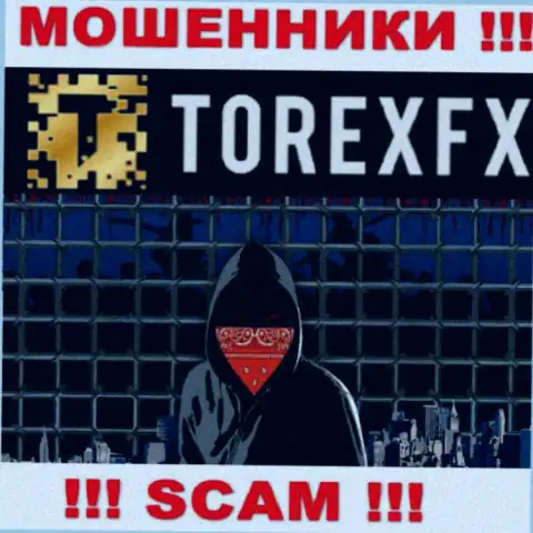 TorexFX не разглашают данные о руководителях конторы